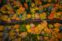 Photograph of a narrow paved road curving through the forest with yellow, orange, red and green autumn foliage in Upper Michigan.